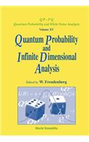 Quantum Probability and Infinite-Dimensional Analysis: Proceedings of the Conference