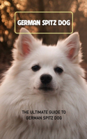 German Spitz Dog