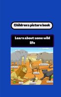 Picture book