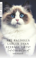 Are Ragdolls larger than average cats?: Find out more about your pet