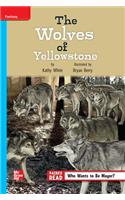 Reading Wonders Leveled Reader the Wolves of Yellowstone: On-Level Unit 4 Week 2 Grade 4