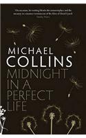 Midnight in a Perfect Life