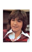 David Cassidy
