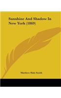 Sunshine And Shadow In New York (1869)