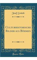 Culturhistorische Bilder Aus BÃ¶hmen (Classic Reprint)