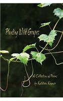 Planting Wild Grapes