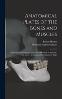 Anatomical Plates of the Bones and Muscles