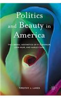 Politics and Beauty in America