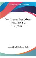 Irrgang Des Lebens Jesu, Part 1-2 (1884)