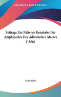 Beitrage Zur Naheren Kenntniss Der Amphipoden Des Adriatischen Meeres (1866)