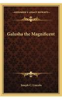 Galusha the Magnificent