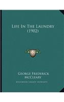 Life In The Laundry (1902)