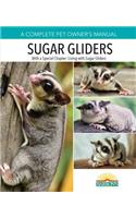 Sugar Gliders