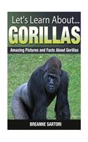 Gorillas: Amazing Pictures and Facts about Gorillas