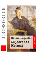 Liljecronas Heimat (Großdruck)