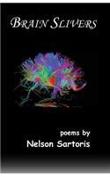 Brain Slivers
