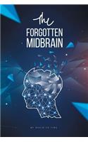 Forgotten Midbrain