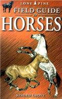 Field Guide to Horses