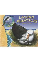 Us Lcma Laysan Albatross
