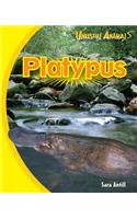 Platypus