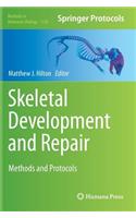 Skeletal Development and Repair