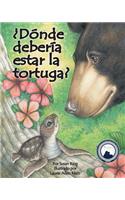 ¿Dónde Debería Estar La Tortuga? (Where Should Turtle Be?)