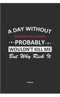 A Day Without Orienteering Sports Probably Wouldn't Kill Me But Why Risk It Notebook