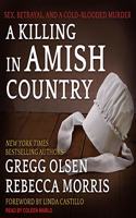 A Killing in Amish Country