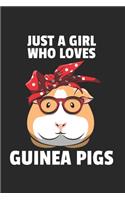 Meerschweinchen Notizbuch
