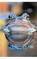 Common Frog in a Pond Journal: Take Notes, Write Down Memories in this 150 Page Lined Journal