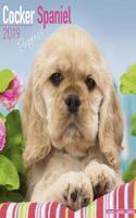 Cocker Spaniel Puppies Calendar 2019