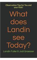 What does Landin see Today?