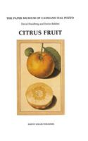 Citrus Fruit