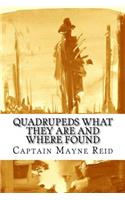 Quadrupeds What They Are and Where Found