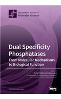 Dual Specificity Phosphatases