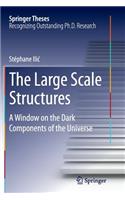 Large Scale Structures