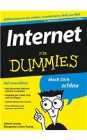 Internet für Dummies