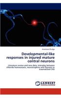 Developmental-like responses in injured mature central neurons