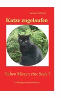 Katze zugelaufen