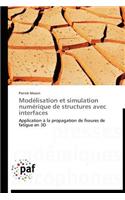 Modélisation Et Simulation Numérique de Structures Avec Interfaces