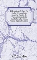 Hidropathia; O, Cura Por Medio Del Agua Fria, Segun La Practica De Vicente Priessnitz En Graefenberg, En Silesia, Austria (Spanish Edition)