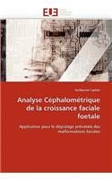 Analyse céphalométrique de la croissance faciale foetale
