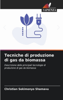 Tecniche di produzione di gas da biomassa