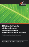 Effetto dell'acido gibberellico sul metabolismo dei carboidrati nelle banane