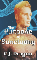 Purpose of Sanctuary