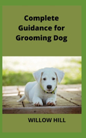 Complete Guidance for Grooming Dog