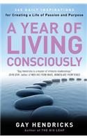 Year of Living Consciously