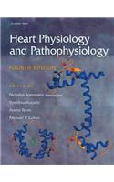Heart Physiology and Pathophysiology