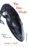 Blue Whale