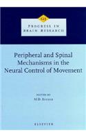 Peripheral and Spinal Mechanisms in the Neural Control of Movement